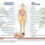 Graphic, SDG-Factsheet Tobacco | Decent Work, secondhand smoke