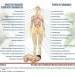 Grafik, SDG-Factsheet Tabak | menschenwürdige Arbeit, Passivrauch