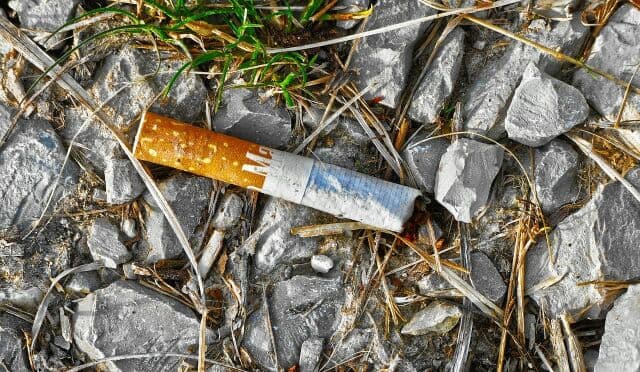 Zigarettenkippen giftiger Müll Umwelt