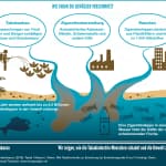 SDG-Factsheet, Wie Tabak die Gewässer verschmutzt, Nikotin, Pestizide, Chemikalien