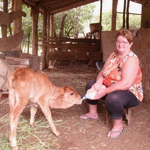 Paula Neu füttert ihr Kalb, Agudo, Brazil, CIDADES SEM FOME