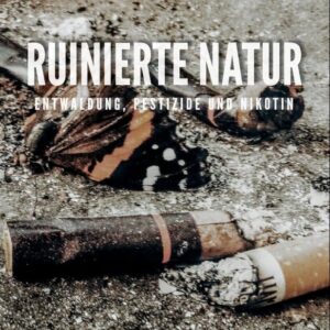 Studie Ruinierte Natur