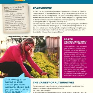 Factsheet Alternative Livelihoods to Tobacco Growing, front page. It shows a lot of text and the picture of a woman farmer taking care of her salad plants.